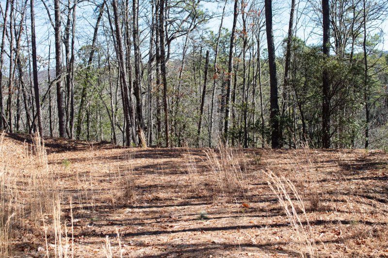 Property image 5 at Lot 83 Oak Laurel Road, Brevard, NC 28712