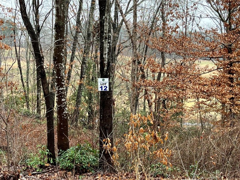 175 Broken Arrow Drive