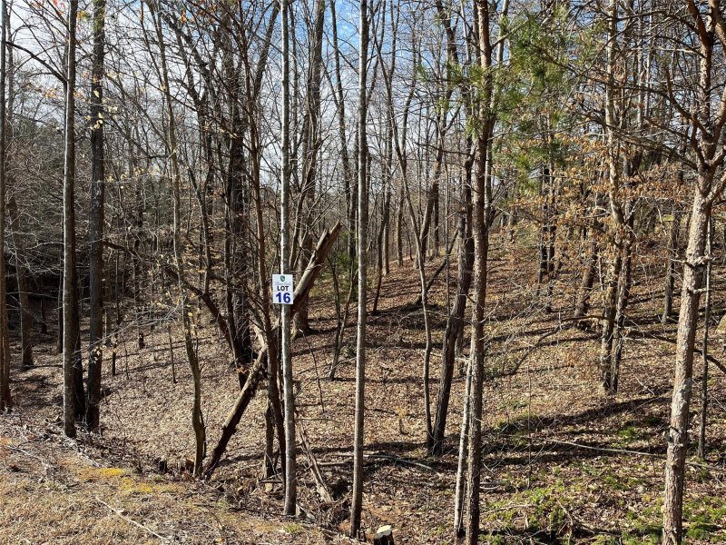 Property image 2 at 204 Broken Arrow Drive, Statesville, NC 28677