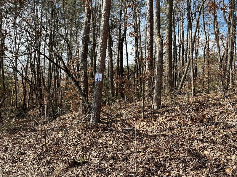 Property image 2 at 198 Broken Arrow Drive, Statesville, NC 28677