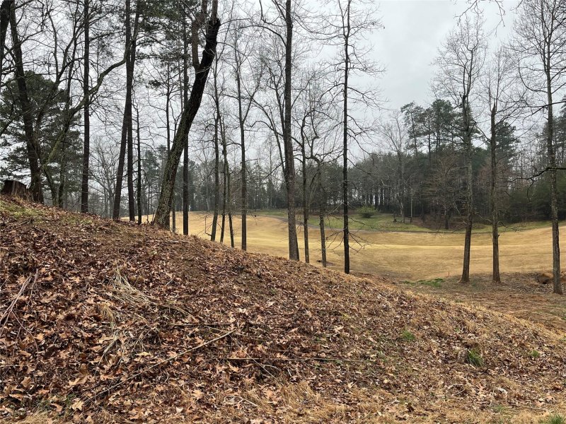 250 Broken Arrow Drive