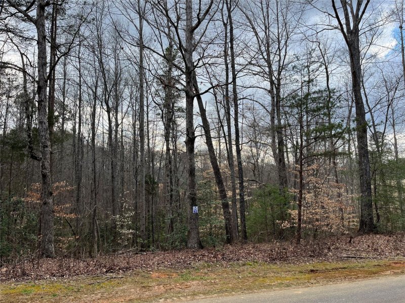 Property image 2 at 296 Broken Arrow Drive, Statesville, NC 28677