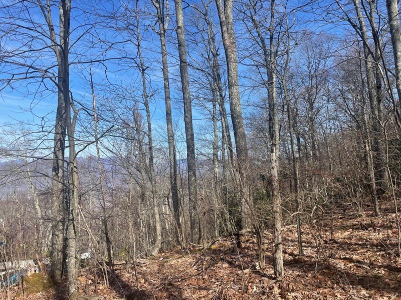 Property image 2 at 99999 Lytle Cove Road, Swannanoa, NC 28778