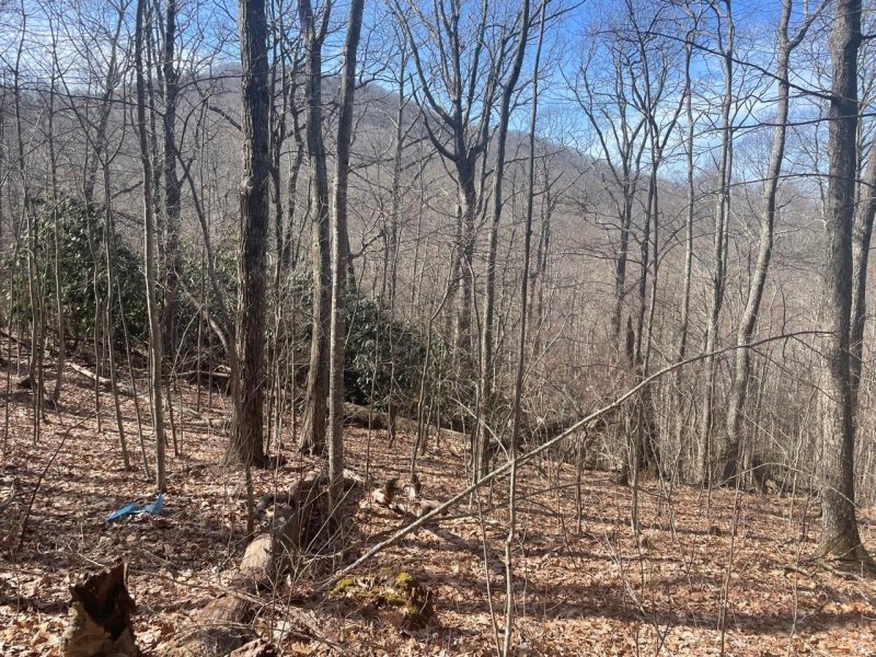 Property image 3 at 99999 Lytle Cove Road, Swannanoa, NC 28778