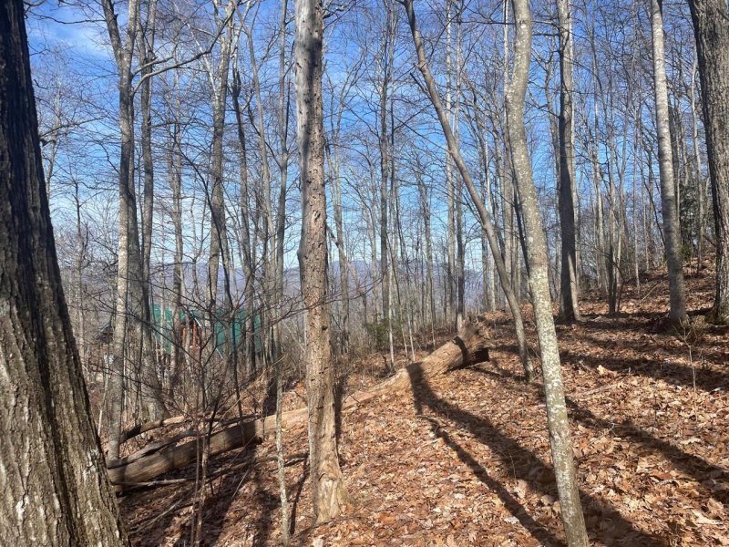 Property image 5 at 99999 Lytle Cove Road, Swannanoa, NC 28778