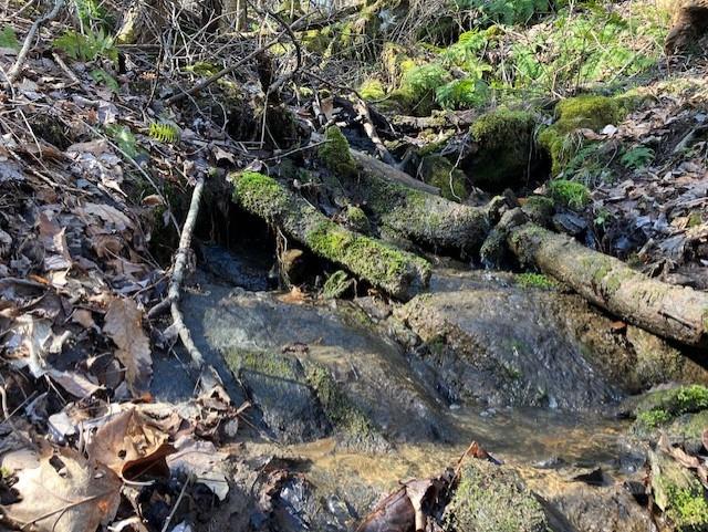 Property image 2 of 00 Utah Mountain Road in Utah Mountain Estates, Waynesville, NC 28785