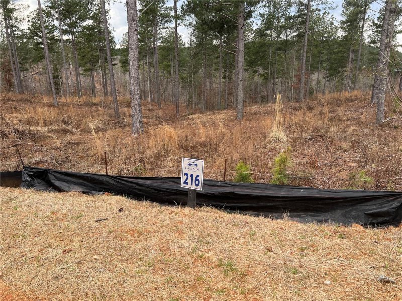 Property image 2 at Lot 216 Decker Road, Connelly Springs, NC 28612