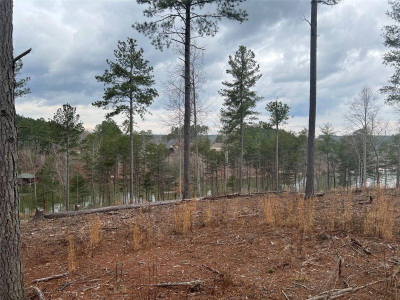Property image 3 at Lot 216 Decker Road, Connelly Springs, NC 28612