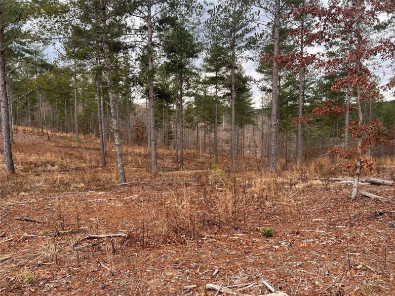 Property image 4 at Lot 216 Decker Road, Connelly Springs, NC 28612