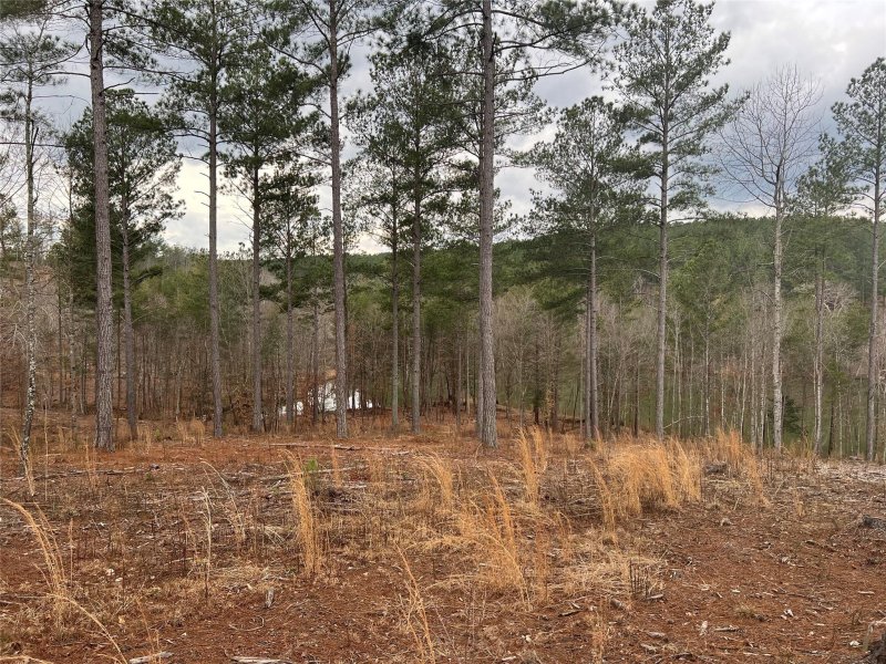 Property image 5 at Lot 216 Decker Road, Connelly Springs, NC 28612