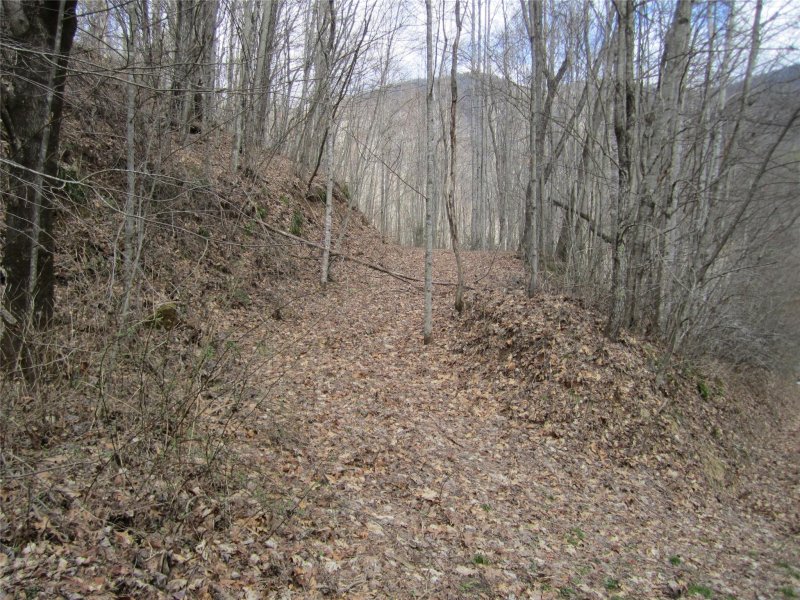 Property image 5 at Lot 26 Village Lane, Waynesville, NC 28786