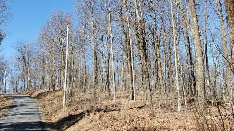 Property image 2 at 1101 Indian Camp Mountain Road, Rosman, NC 28772