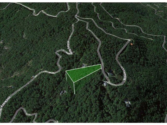 Property image 3 at 0 Williams Circle, Lake Lure, NC 28139