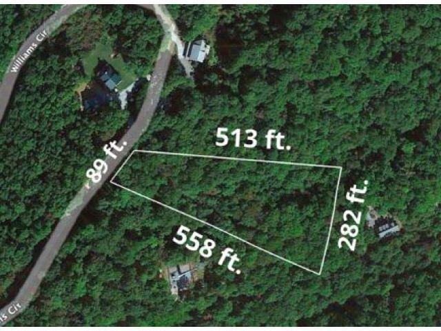 Property image 4 at 0 Williams Circle, Lake Lure, NC 28139