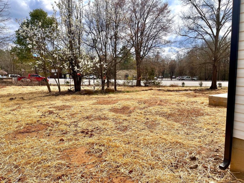 Property image 4 at 345 Catherine Street, Rock Hill, SC 29730