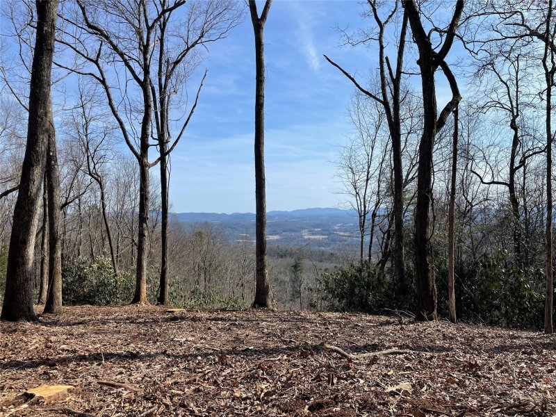 Property image 2 at 0000 East Garden Trail, Hendersonville, NC 28792