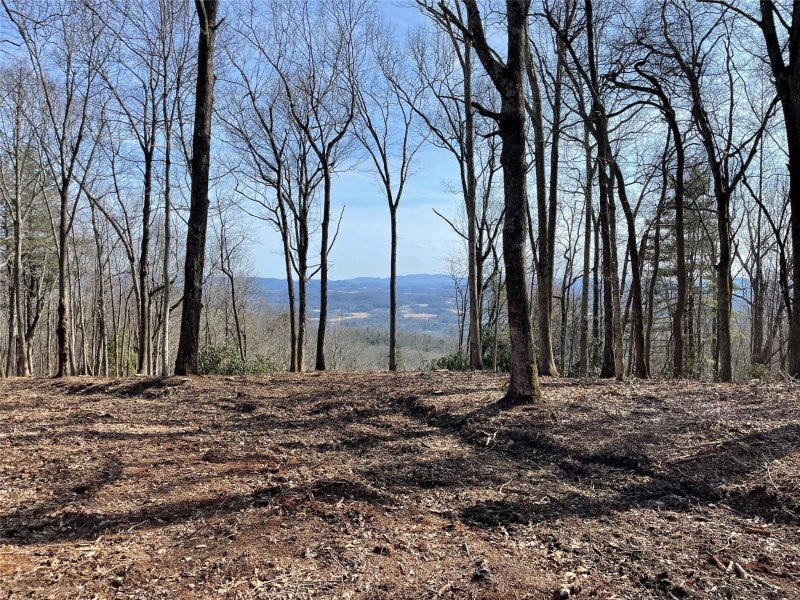 Property image 3 at 0000 East Garden Trail, Hendersonville, NC 28792