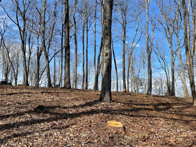 Property image 4 at 0000 East Garden Trail, Hendersonville, NC 28792