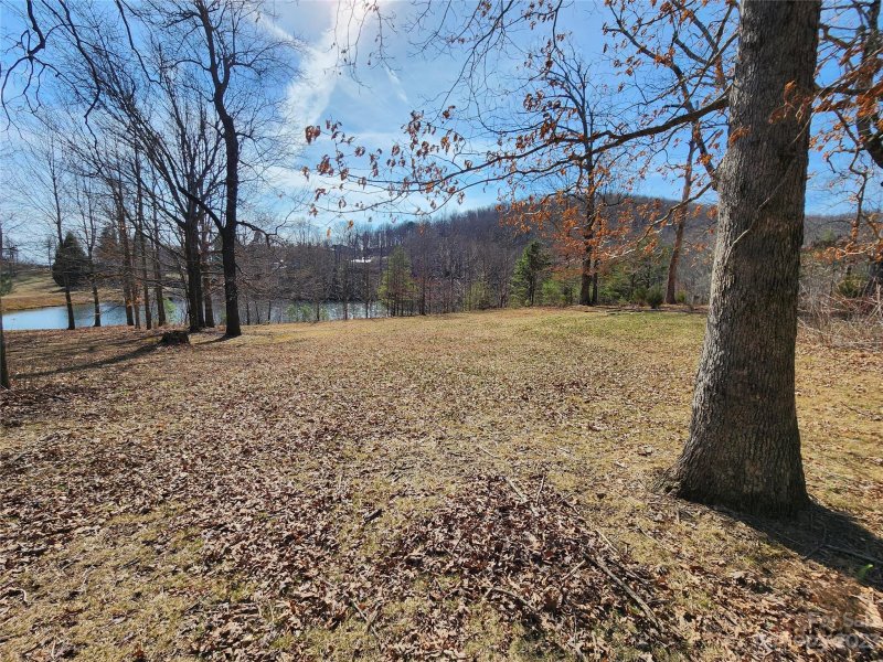 Property image 4 of Lot 77 Three Bridges Drive in White Oak Mountain, Columbus, NC 28722