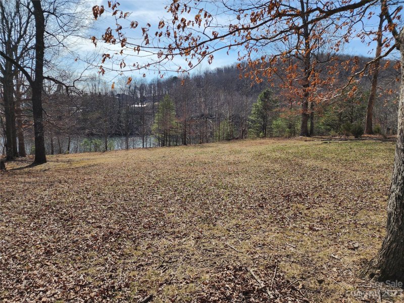 Property image 5 of Lot 77 Three Bridges Drive in White Oak Mountain, Columbus, NC 28722