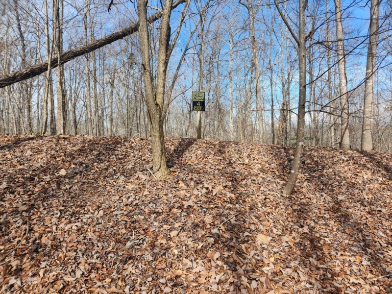 Property image 3 at 00 Forest Country Drive, Marion, NC 28752