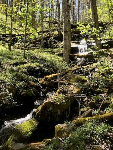 Cataloochee Mountain Estates, Waynesville Community