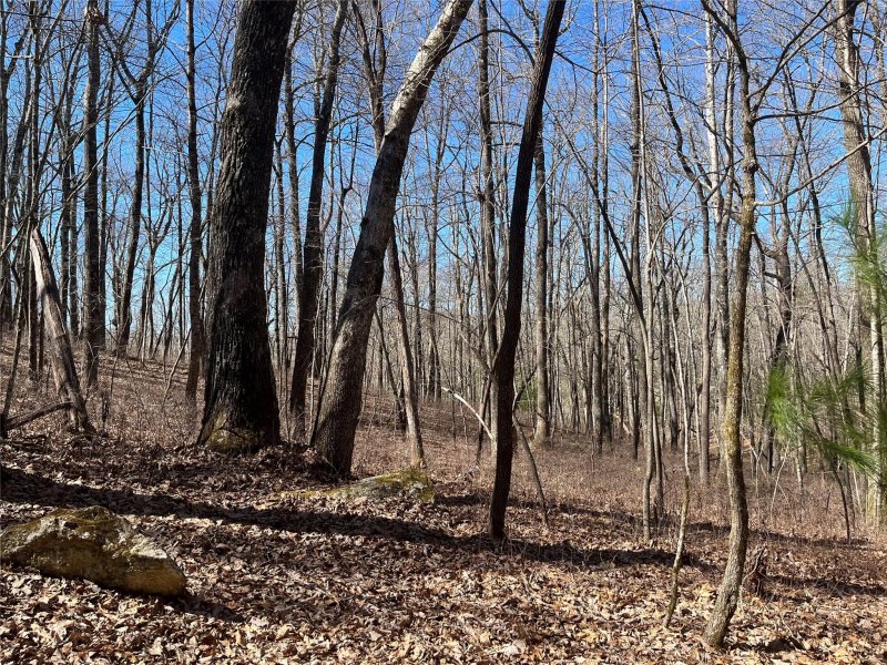 Property image 5 at L035 Frazier Road, Brevard, NC 28712