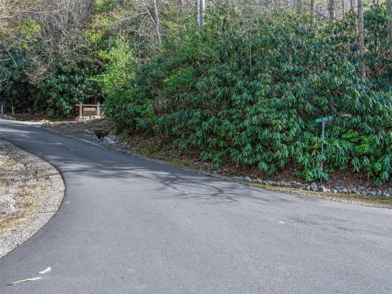 Property image 3 at 9999 1 Merrills Ridge Road, Asheville, NC 28803