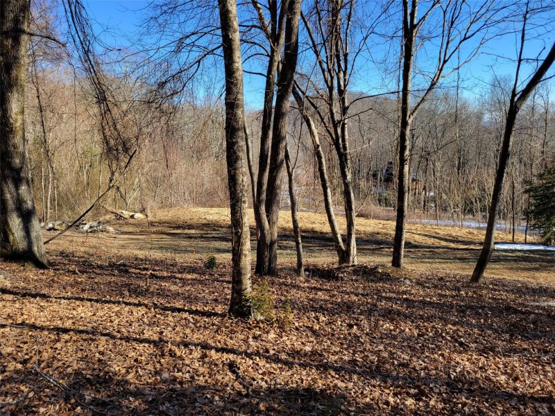 Property image 3 at Lot 31 Autumn Sky Drive, Hendersonville, NC 28792