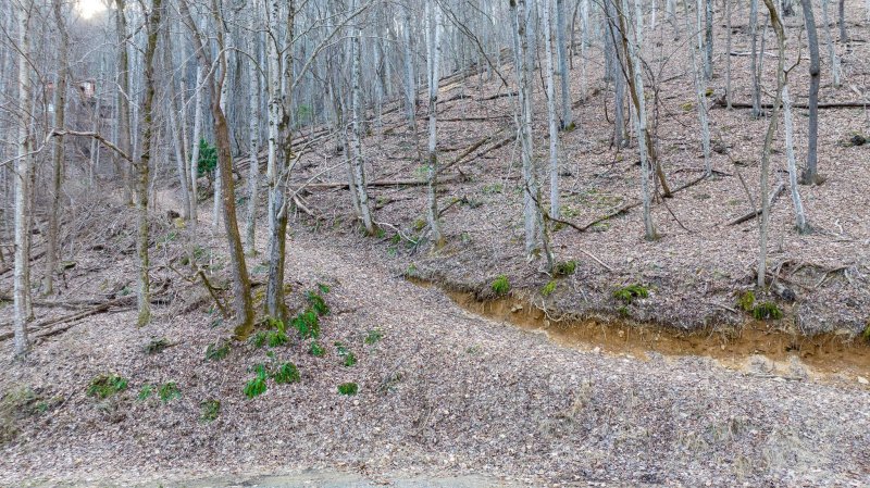 Property image 4 at Lot 102 Hickory Vista Lane, Mills River, NC 28759