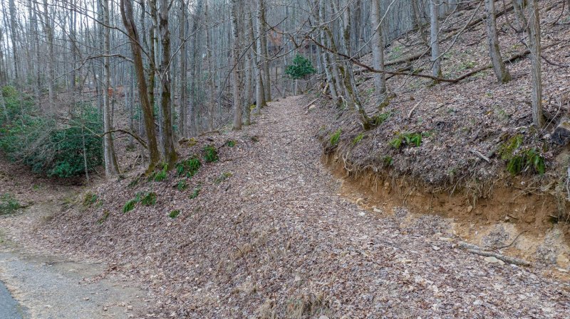 Property image 5 at Lot 102 Hickory Vista Lane, Mills River, NC 28759