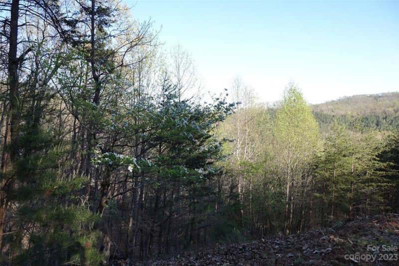 Property image 2 at 19 Fire Tower Road, Bostic, NC 28018