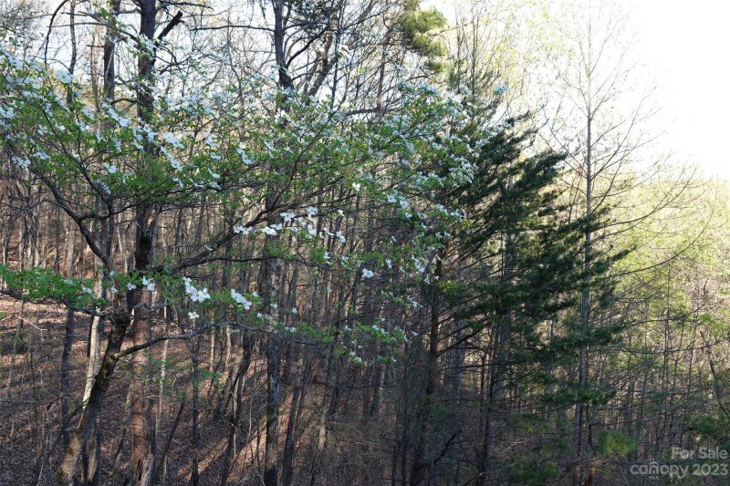 Property image 3 at 19 Fire Tower Road, Bostic, NC 28018