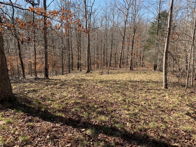 Property image 2 at 0 Valley Drive, Rutherfordton, NC 28139