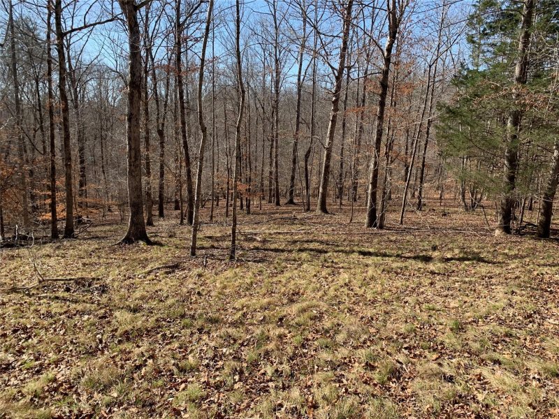 Property image 3 at 0 Valley Drive, Rutherfordton, NC 28139