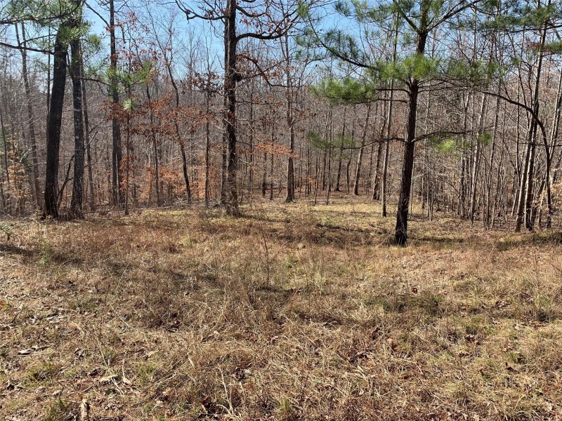 Property image 5 at 0 Valley Drive, Rutherfordton, NC 28139