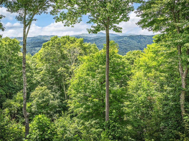 Property image 4 at 197 Penny Lane, Mars Hill, NC 28754