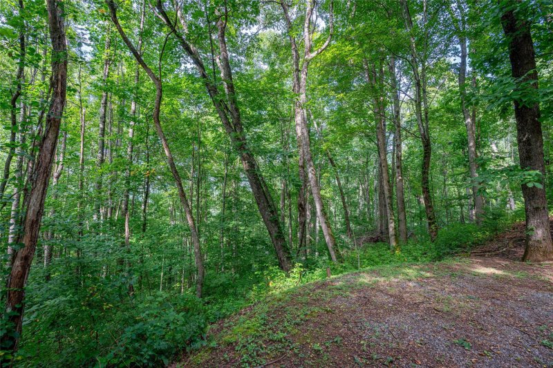Property image 3 of 8 Resurrection Lane in The Cottages at Rosemount, Sylva, NC 28779