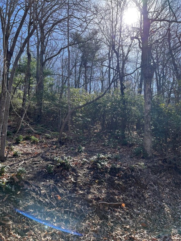 Property image 2 of 000 Serpentine Drive in White Oak Mountain, Columbus, NC 28722