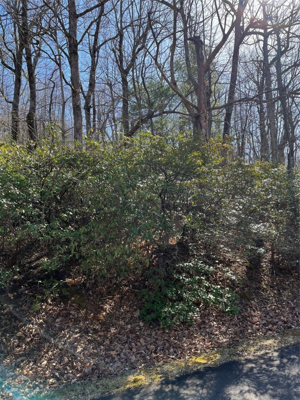 Property image 3 of 000 Serpentine Drive in White Oak Mountain, Columbus, NC 28722