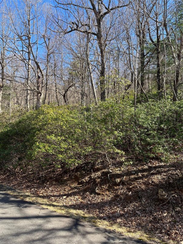 Property image 4 of 000 Serpentine Drive in White Oak Mountain, Columbus, NC 28722