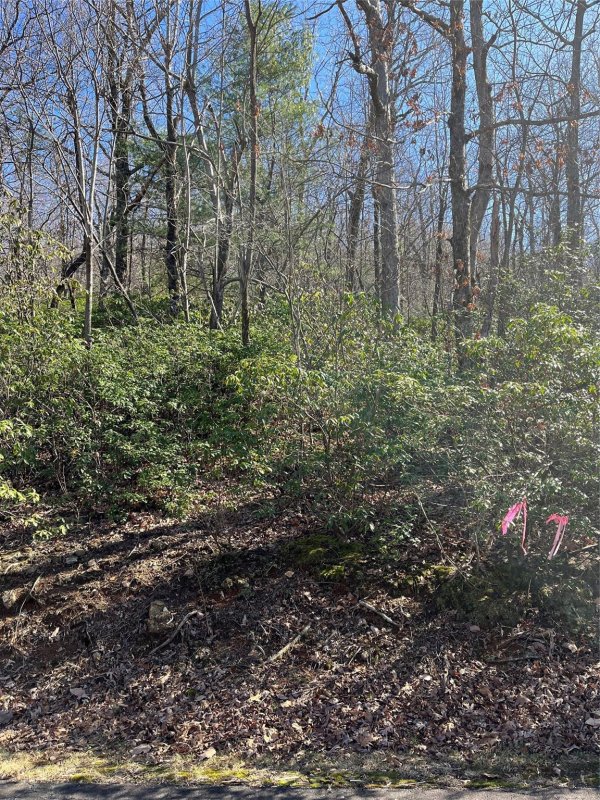 Property image 5 of 000 Serpentine Drive in White Oak Mountain, Columbus, NC 28722