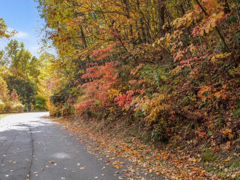 Property image 4 of 26 Great Aspen Way in Laurel Ridge, Black Mountain, NC 28711