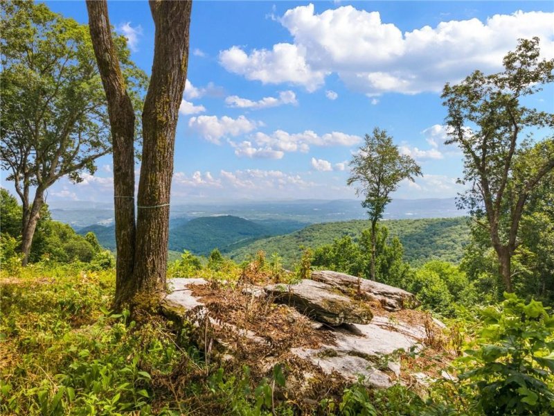 Property image 3 at 1 Laurel Ledge Way, Fletcher, NC 28732