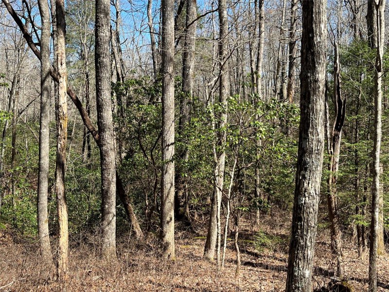 Property image 2 at Lot 5 White Oak Terrace, Brevard, NC 28712