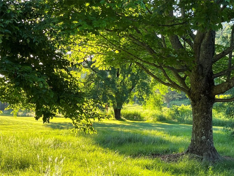 Property image 4 at Lot 5 White Oak Terrace, Brevard, NC 28712