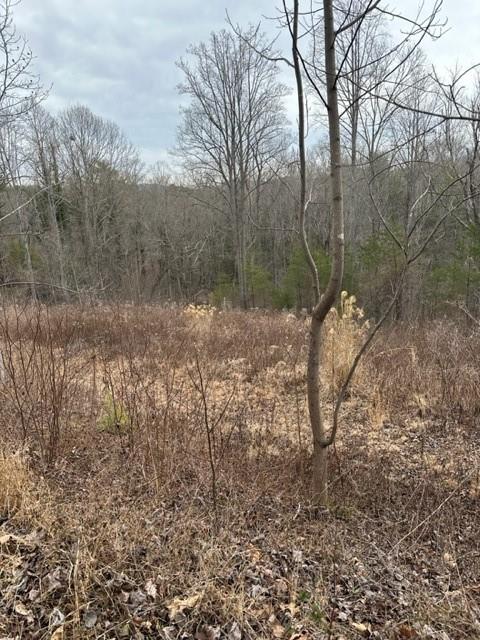 Property image 2 at 34 Wind Stone Drive, Asheville, NC 28804