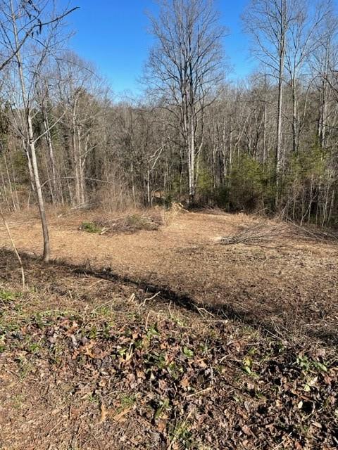 Property image 5 at 34 Wind Stone Drive, Asheville, NC 28804