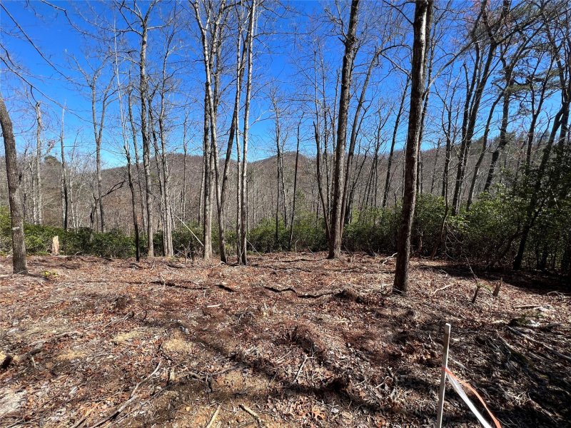 Property image 2 at 220 Cheyenne Falls Trail, Black Mountain, NC 28711