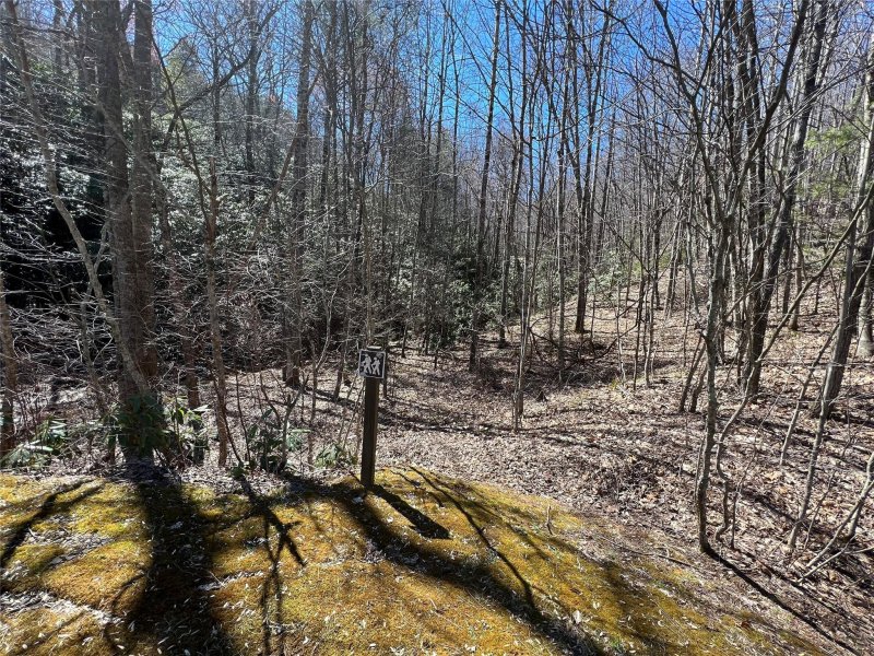 Property image 5 at 220 Cheyenne Falls Trail, Black Mountain, NC 28711